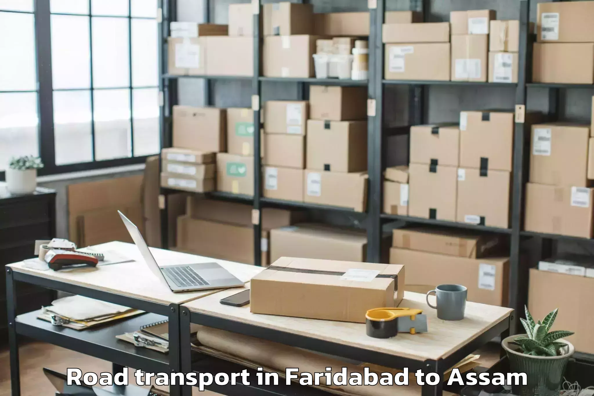 Affordable Faridabad to Borholla Road Transport